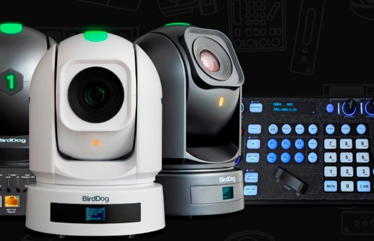 BirdDog P240